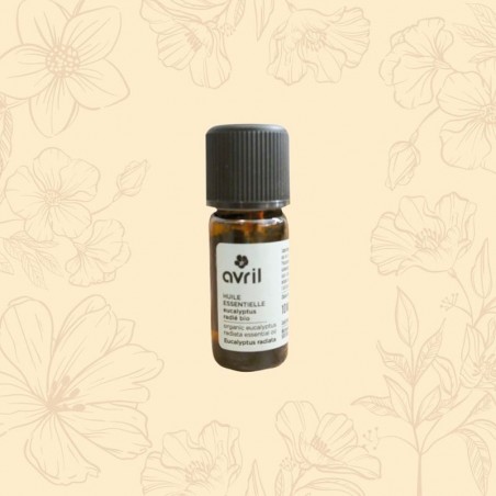 Huile essentielle d'Eucalyptus radié bio
