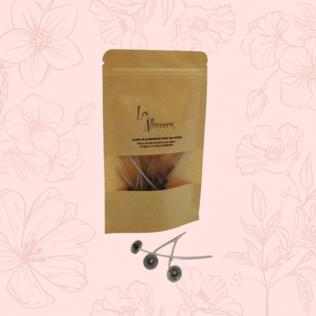 Recharges mèches à bougies non toxique - sachet de 10