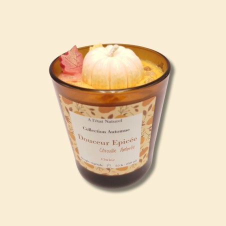 Bougie Douceur épicée - Parfum citrouille ambrée