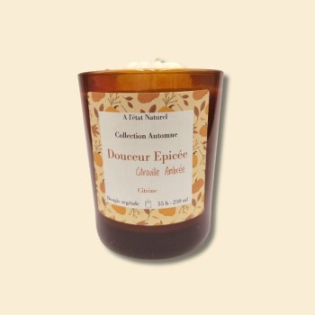 Bougie Douceur épicée - Parfum citrouille ambrée