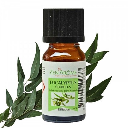 Huile essentielle d'eucalyptus 100% Naturelle - Utilisation en aromathérapie (10ml)