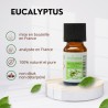 Huile essentielle d'eucalyptus 100% Naturelle - Utilisation en aromathérapie (10ml)