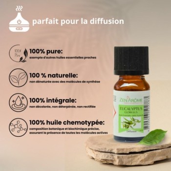 Huile essentielle d'eucalyptus 100% Naturelle - Utilisation en aromathérapie (10ml)