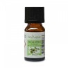 Huile essentielle d'eucalyptus 100% Naturelle - Utilisation en aromathérapie (10ml)