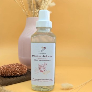 La mousse d'alcool, un pouvoir dégraissant incomparable pour une solution éco-responsable !