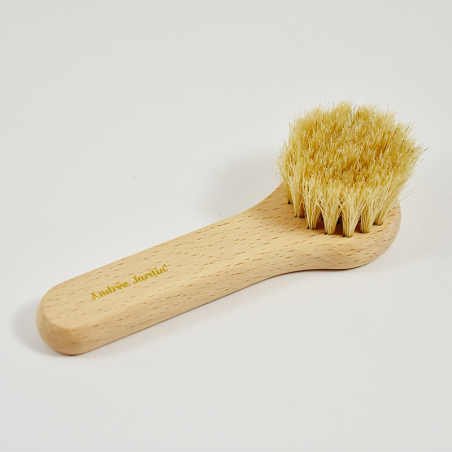 Brosse en bois pour le visage