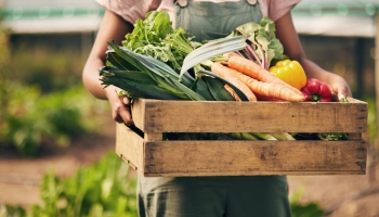 Légumes de saison : les indispensables pour bien manger toute l'année